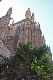 PICT0078_edited-1