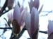 first_pics 004
